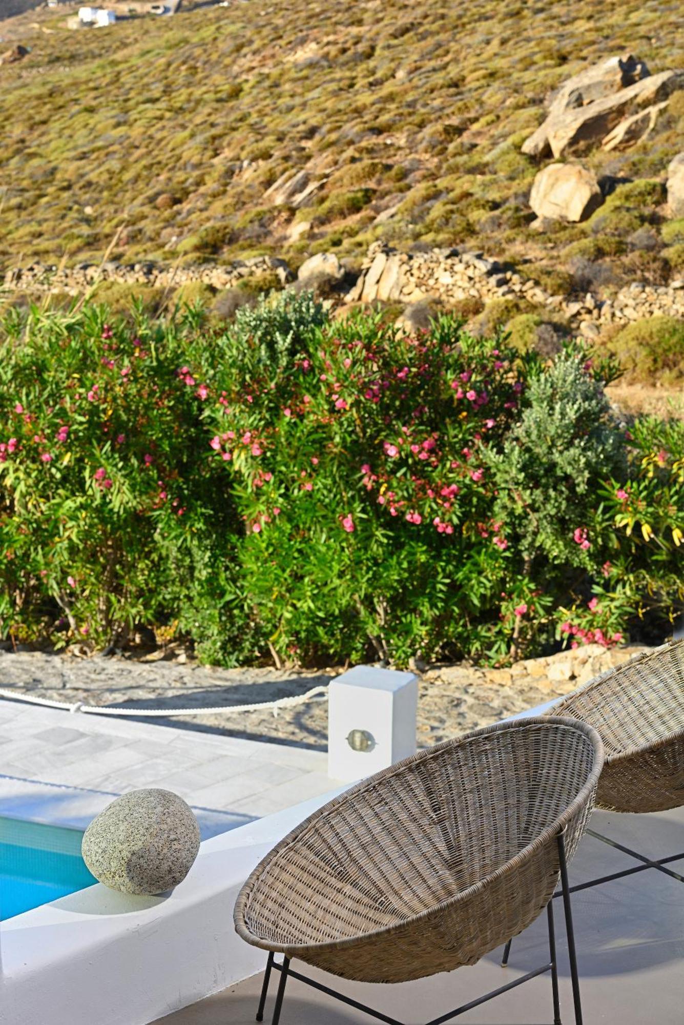 Mykonos Dream Villas Φτελιά Εξωτερικό φωτογραφία