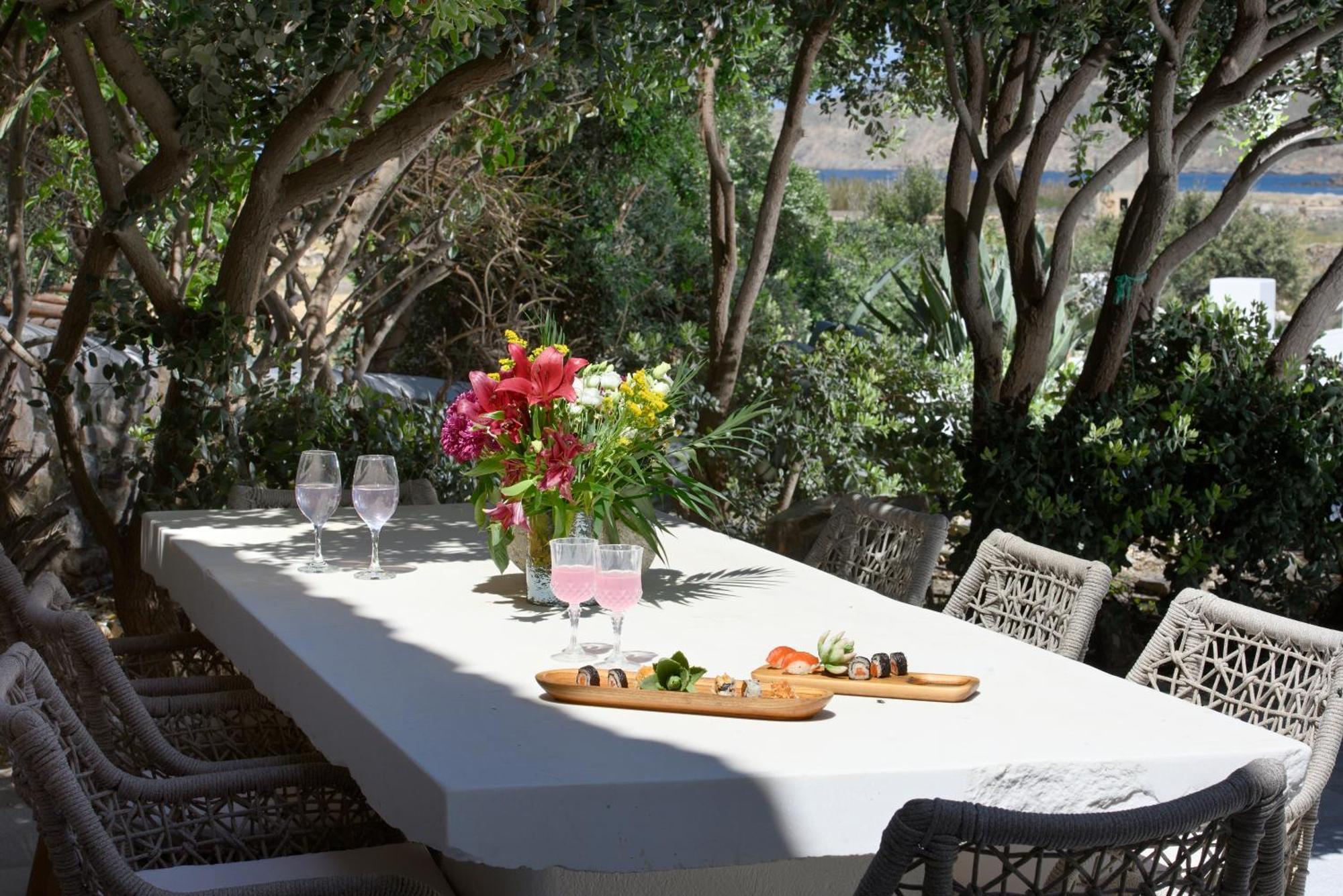 Mykonos Dream Villas Φτελιά Εξωτερικό φωτογραφία